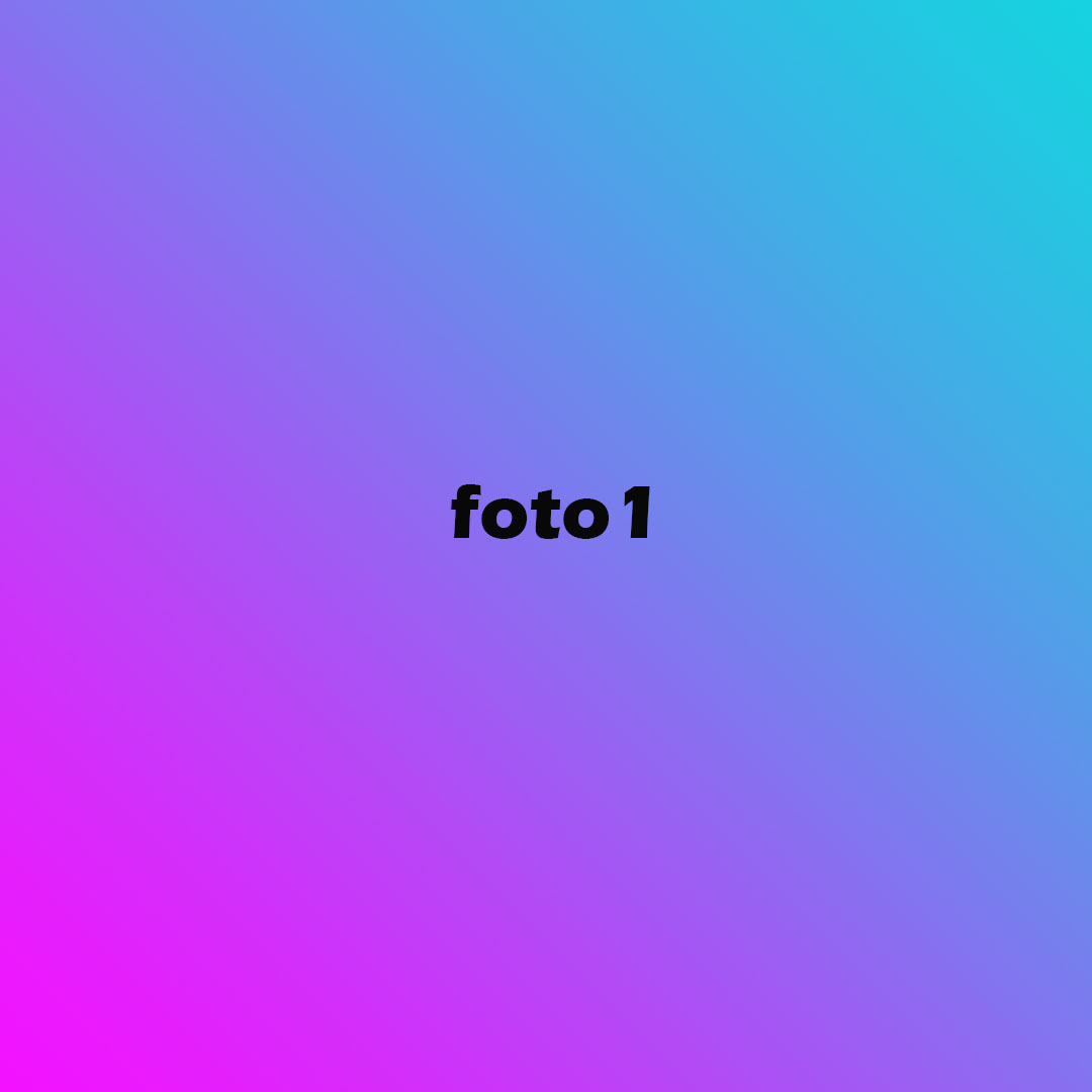 Descrizione immagine 1