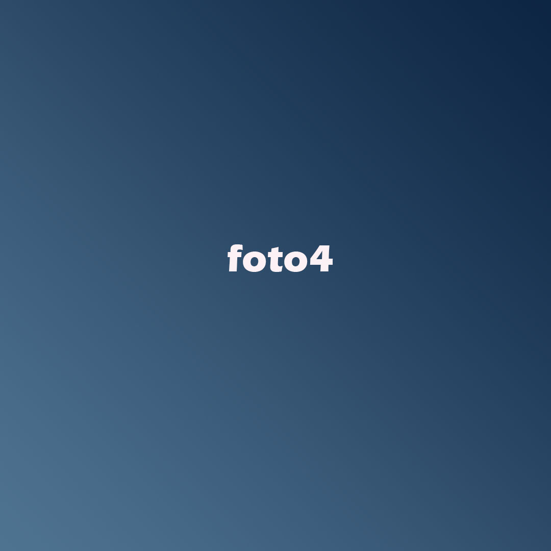 Descrizione immagine 4